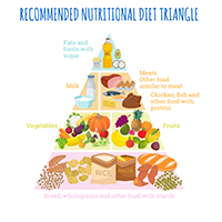 Food Pyramide